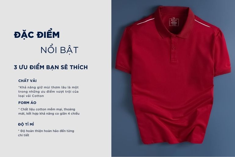Đặc điểm nổi bật áo polo nam